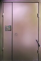Металлическая дверь Подъездная дверь Порошок + Порошок №141 с боковой фрамугой